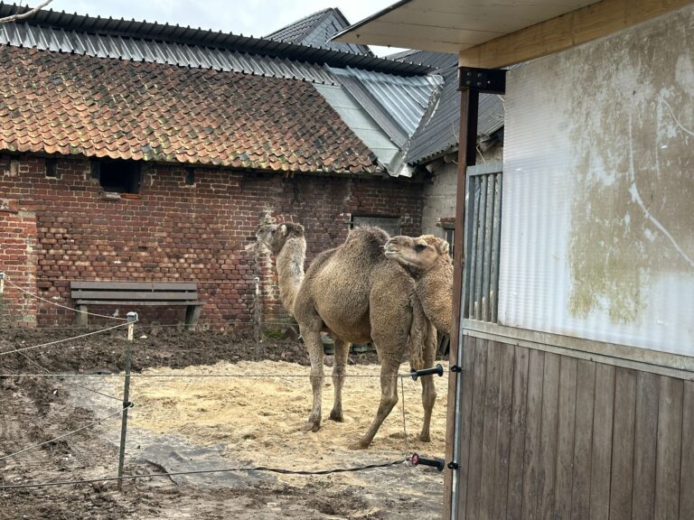 WhatsApp Bild 2025-04-01 um 13.19.57_29d0766d