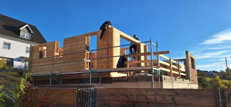 photo_2025-11-06_20-19-47 (7)