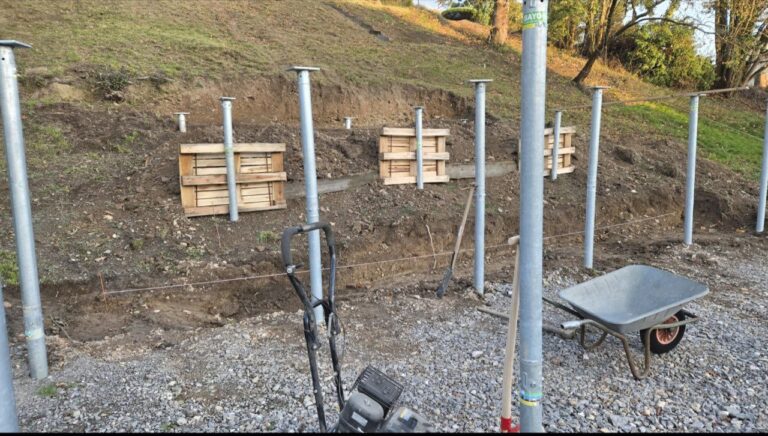 photo_2025-12-05_13-59-36